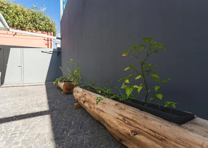 Appartement Ninho Memory Funchal (Madeira)