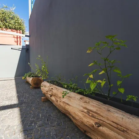 Διαμέρισμα Ninho Memory Φουνκάλ